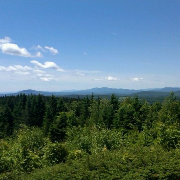 True story...sort of! Meet your Posher, Elena - Picture 4 of 6